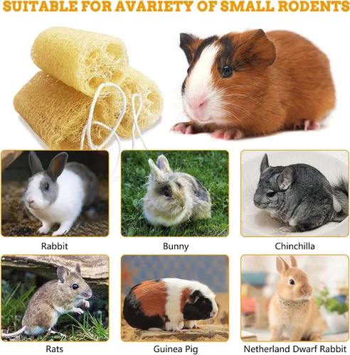 Vista 7 de 4 piezas de juguetes masticables de conejo, juguete masticable natural de conejo, lufa, juguetes para moler dientes de chinchilla, conejillo de L