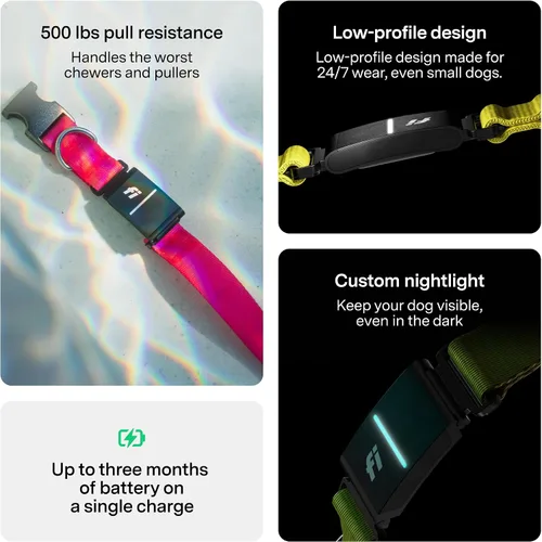 Vista 6 de Nuevo Collar Rastreador Inteligente para Perros de la Serie Fi 3+ [Miembrosía de 12 Meses Incluida] Rastreador GPS para Perros con Monitoreo
