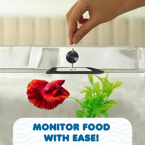 Vista 6 de SunGrow Anillo de alimentación de alimentos para peces, evita que las turbulencias del agua laven alimentos y plantas flotantes en el filtro