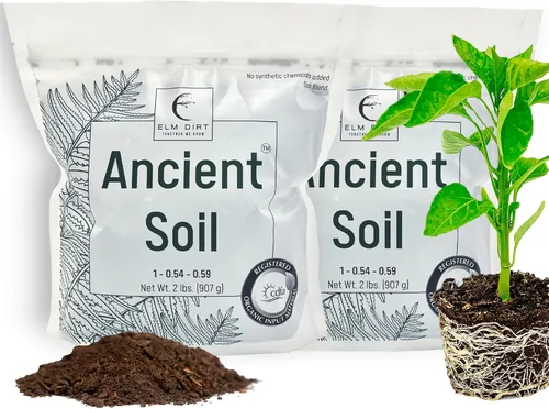 Vista 9 de Elm Dirt Ancient Soil Organic Garden Soil Enmienda del suelo, fundición