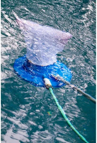 Vista 3 de Aquatix Pro Repuesto de bolsa de malla fina de alta calidad con cable de tracción y bloqueo para aspiradora de hojas de piscina, comedor, atrapador