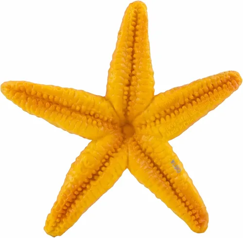 Vista 6 de Safari Ltd. Figura de estrella de mar, vibrante figura de estrella de mar de 4.5 pulgadas, juguete educativo para niños, niñas y niños a partir de 3