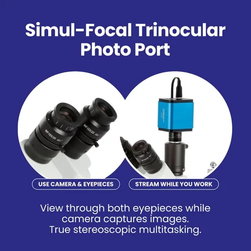 Vista 5 de Microscopio con zoom y cerradura estéreo Simul-Focal AmScope 7X a 45X con cabezal de brazo doble