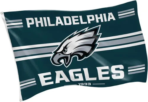 Vista 11 de Bandera de casa al aire libre duradera de 3 x 5 pies de los Arizona Cardinals de la NFL con ojales Bandera y cartel del equipo deportivo Bandera