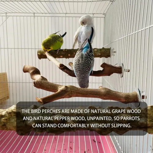 Vista 4 de 5 piezas de soporte de madera natural para loros, 3 perchas de madera de uva, 2 soportes, tenedor de pata de molienda, periquito, ramas