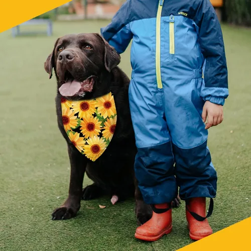 Vista 6 de Pañuelo de girasol con hojas para perro, bufanda lavable para mascotas, pañuelo ajustable triangular, estampado de doble cara, negro, girasol