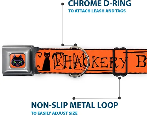 Vista 5 de Buckle-Down Collar de perro Hebilla de cinturón de seguridad Hocus Pocus Thackery Binx Cat Silhouette Naranja Negro, 1 pulgada de ancho - Se adapta