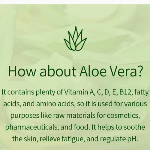 Vista 6 de VENAMINE Gel Niebla Calmante y Humectante de Aloe Vera Coreano 100%, 150 Gramos