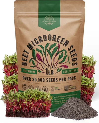 Vista 8 de Organo Republic Semillas de Rúcula para Germinación y Microgreens - Kit de Semillas de Brotes Sin OGM, Reliquia, Bolsa Resellable de 1 libra