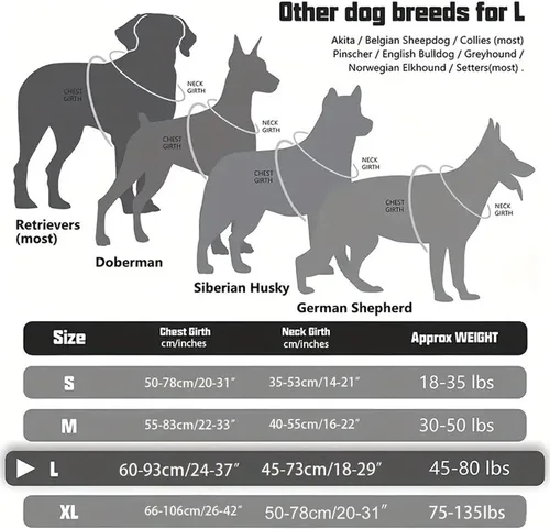 Vista 6 de Reflective Dog Harness – Adjustable No-Pull Collar, Comfortable Breathable Material, Sturdy Durablee Structure, Quick-Release Clip Lightweight