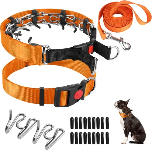 Vista 14 de Collar de entrenamiento de puntas con puntas cómodas y hebilla de cierre rápido – Collar de pellizco para perro con cubierta de nailon