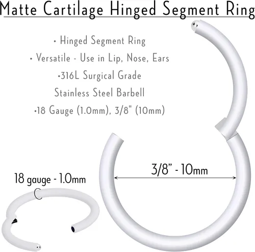 Vista 5 de Body Candy Segment Hoop Rings 18 Gauge 316l Surgical Steel Lip Ring Cartilage