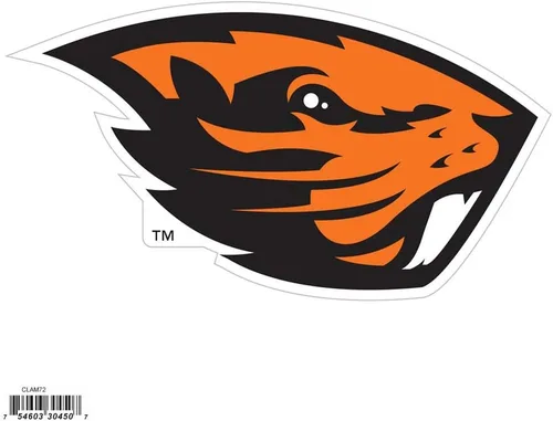 Vista 4 de NCAA, imán con logotipo, 8 pulgadas