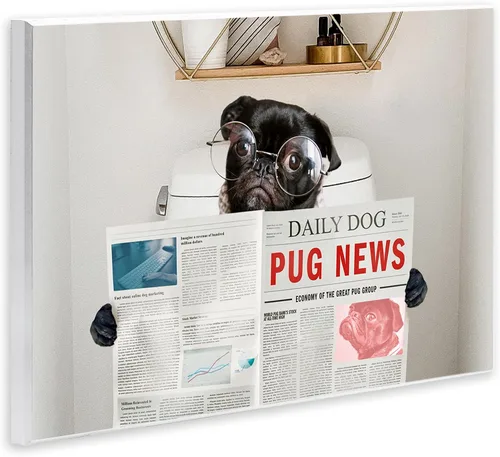 Vista 2 de Stupell Industries Baño Pug Daily Toilet Briefing Dog Humor, diseñado por Ziwei Li Art, 10 x 15, placa de pared