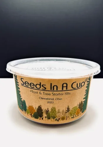 Vista 4 de Baya de Goji (Wolfberry): Kit de cultivo de semillas de árbol Nutrientes reales - Suelo rico Sin vainas falsas Educativo Gran idea de regalo