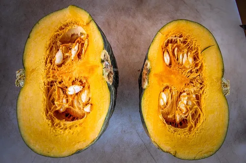 Vista 4 de Plant Good Seed Semillas orgánicas de calabaza de invierno Burgess Buttercup - Paquete de 30, semillas tradicionales para plantar verduras
