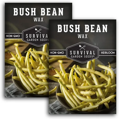 Vista 10 de Survival Garden Seeds - Semilla de frijol Golden Wax Bush para plantar - Paquete con instrucciones para plantar y cultivar frijoles amarillos