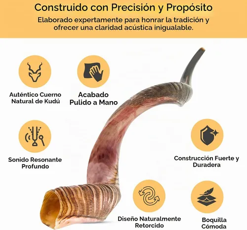 Vista 3 de YOMTOV-SHALOM Kudu Shofar a la venta Kosher de Israel Reyes Shofar Fábrica original de Shofar (13-18)