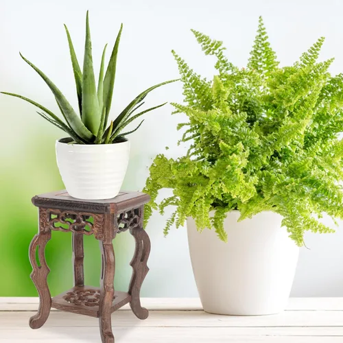 Vista 3 de Soporte de madera para plantas, soporte de exhibición para macetas, base para suculentas, mini taburete para interior y exterior, patio, balcón