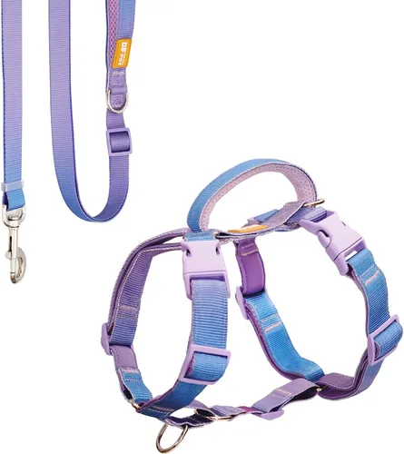 Vista 7 de DF Freedom - Juego de arnés y correa para perro, arnés ajustable con clip frontal con mango reflectante y acolchado, fácil para caminar y entrenar