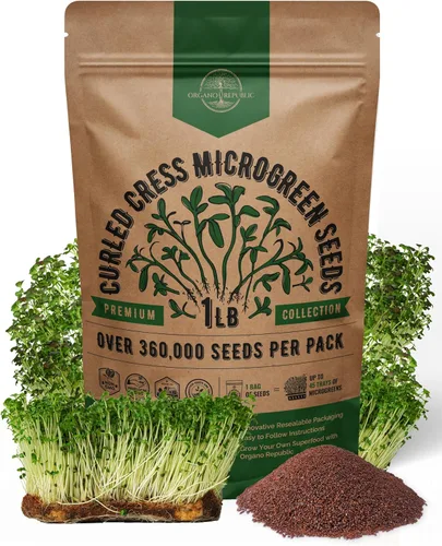 Vista 13 de Organo Republic Semillas de Rúcula para Germinación y Microgreens - Kit de Semillas de Brotes Sin OGM, Reliquia, Bolsa Resellable de 1 libra