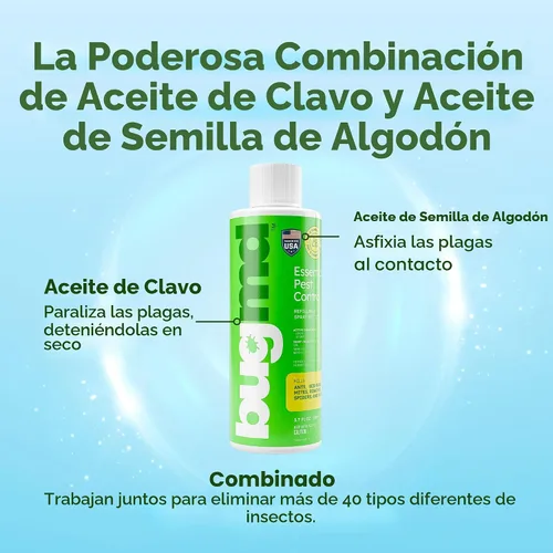 Vista 3 de BugMD Concentrado de aceite esencial para control de plagas (3.7 onzas, paquete de 2) – Spray de insectos alimentado por plantas mata rápidamente