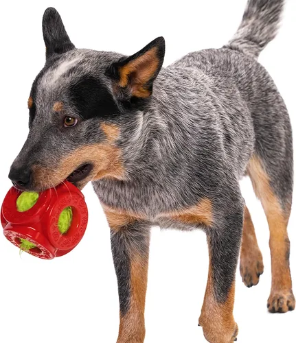 Vista 3 de goDog Holiday Collection - Juguete para perro 2 en 1 con pelota, chirriante Furballz, rojo, pequeño Juguete de pelota de jaula 2 en 1