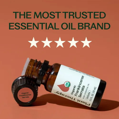 Vista 3 de Plant Therapy Aceite esencial de incienso serrata orgánico 100% puro, Certificación orgánica USDA, sin diluir, aromaterapia natural, grado