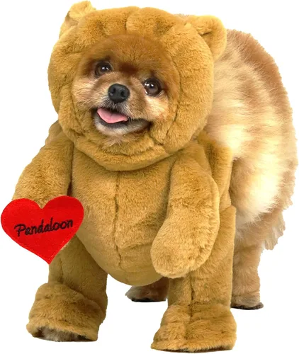 Vista 3 de Pandaloon Disfraz de Halloween para perro, como se ve en Shark Tank, patentado, divertido disfraz con brazos para perros y gatos pequeños y medianos