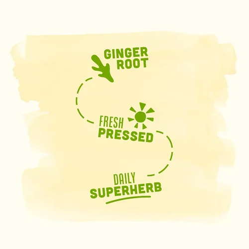 Vista 2 de Vive Organic Inmune Support Ginger Shot, raíz de jengibre prensada en frío y jugo orgánico, sin gluten, vegano, refuerzo de la inmunidad, 2 onzas