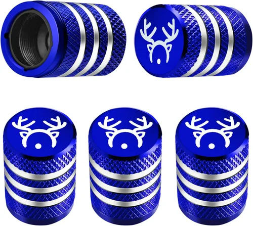 Vista 47 de Tapones para vástago de válvula de neumático, paquete de 5, tapa de aire de neumático N2, metal nitrógeno con forro de plástico, resistente a