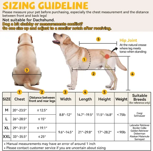 Vista 2 de Silla de ruedas para perros para patas traseras, grande, silla de ruedas resistente para perros medianos a grandes, carritos ajustables para perros