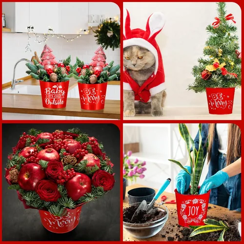 Vista 6 de Hoolerry 16 macetas de Navidad para jardinería, accesorios galvanizados, cubo de metal rojo de 6 pulgadas, macetas de flores galvanizadas