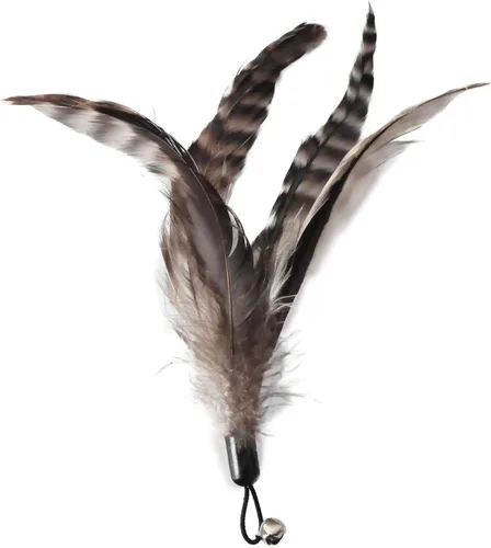 Vista 6 de Juguetes para gatos EcoCity - Juguetes de plumas para gatos sin teñido químico para gatos de interior - Incluyen varita para gatos y recambios