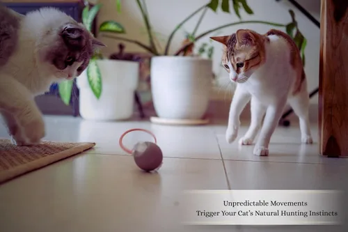 Vista 5 de Juguetes interactivos para gatos de interior Calidad premium con 3 colas desmontables Modos de velocidad automáticos con movimiento real