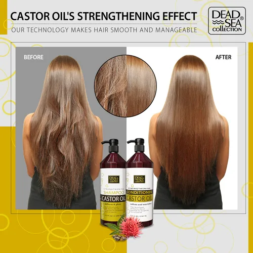 Vista 26 de Set de champú y acondicionador Dead Sea Collection con aceite de argán – Productos hidratantes y suavizantes para el cabello con minerales del Mar