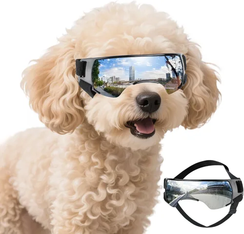Vista 7 de Gafas de sol para perros de razas pequeñas, protección UV, resistente al viento, antivaho, al aire libre, ciclismo, playa, protección ocular