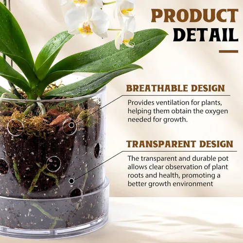 Vista 3 de Maceta de orquídea acrílica transparente de 5 pulgadas con agujeros