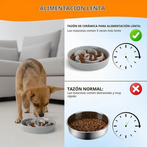 Vista 5 de Cuenco de cerámica para perros de alimentación lenta, 2 tazas de plato de Flor - Gris