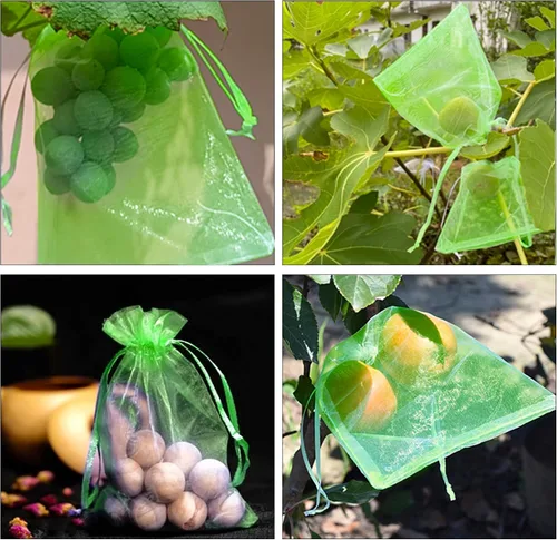 Vista 5 de 100 bolsas de protección de frutas verdes de 6 x 8 pulgadas, bolsas de malla para frutas con cordón, bolsa de malla para proteger las plantas