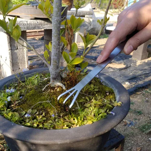 Vista 6 de Rastrillo para bonsái de acero inoxidable con espátula, mini estante de jardinería, cultivador de 3 puntas, herramientas para árbol bonsái