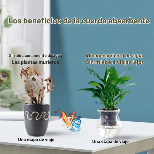 Vista 5 de Augshy Cuerda de algodón con mecha de riego automático de 1/6 pulgadas para dispositivo de riego automático de plantas de bricolaje (40 pies)