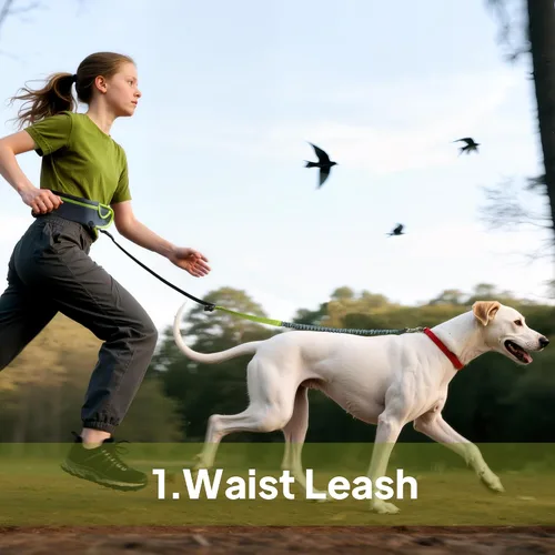 Vista 6 de Correa de perro manos libres con bolsa de cremallera, correa de cintura para pasear perros, correr y senderismo, cinturón ajustable con asa, diseño