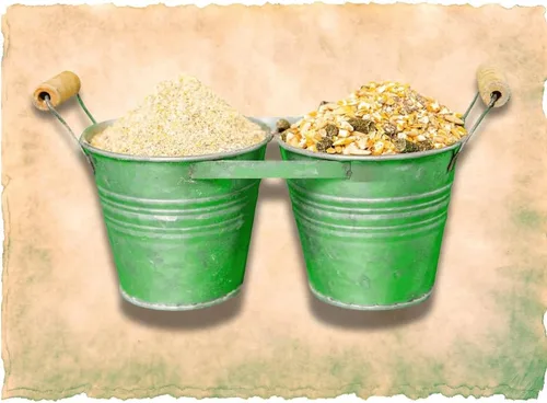 Vista 3 de G&T Country Living Dubia - Kit de cría de cucarachas de 2 tinas (insectos no incluidos), juego de iniciación doble con 2 libras de alto contenido