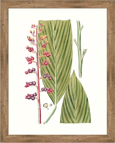 Vista 13 de Amanti Art Lienzo decorativo para pared enmarcado de 24 x 20 pulgadas, hojas de los trópicos III por Vision Studio, arte de pared de naturaleza