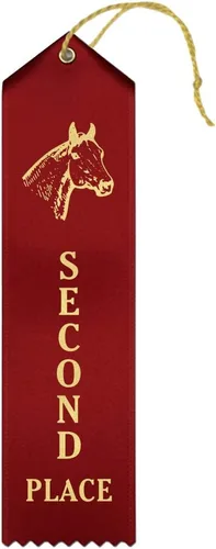 Vista 7 de RibbonsNow Cintas de 1er lugar de Horse Show - 50 cintas azules con tarjeta y cuerda