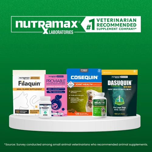 Vista 10 de Nutramax Welactin Canine Softgel Cápsulas