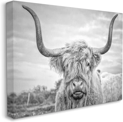 Vista 2 de Stupell Industries Lienzo decorativo para pared, diseño de vaca de las tierras altas en blanco y negro por Joe Reynolds, 24 x 30 pulgadas Stupell