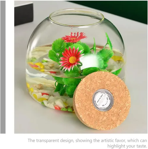 Vista 5 de PATKAW Tarro de terrario de vidrio para plantas suculentas, terrario, botella ecológica con tapa de corcho para suculenta helecho, musgo, plantas