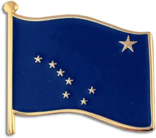 Vista 11 de PinMart Pin de solapa esmaltado con bandera del estado de EE. UU Chapado en oro de Alabama